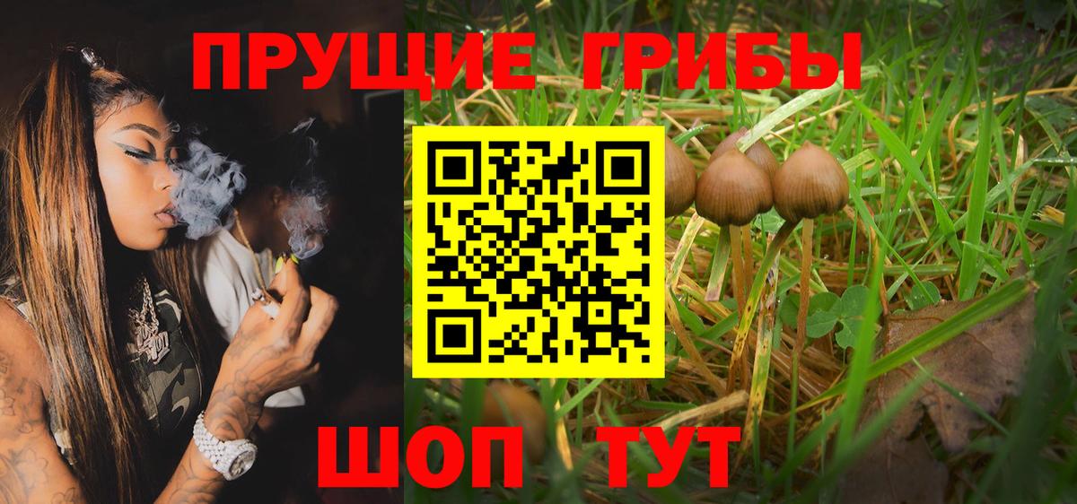 Псилоцибиновые грибы прущие грибы  Псилоцибиновые грибы MAGIC MUSHROOMS  Вход с VPN  Ростов-на-Дону 