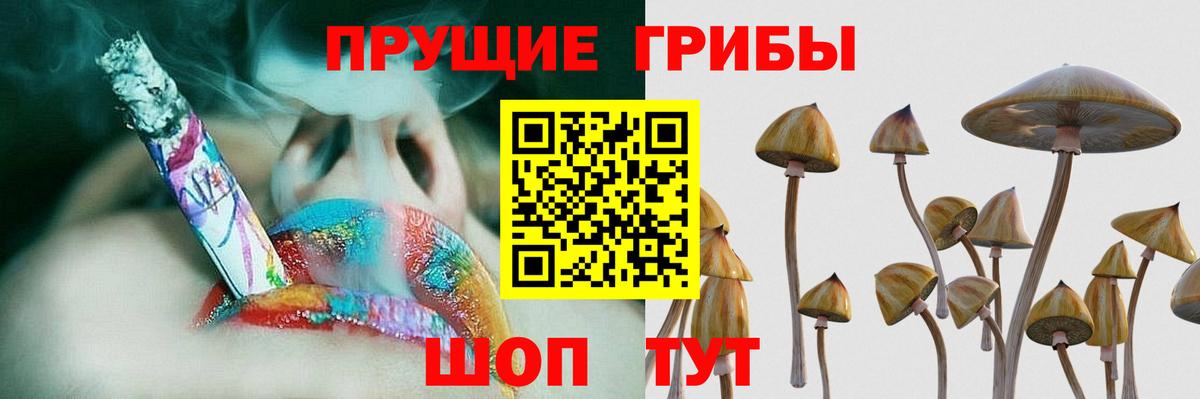 Галлюциногенные грибы GOLDEN TEACHER Ростов-на-Дону